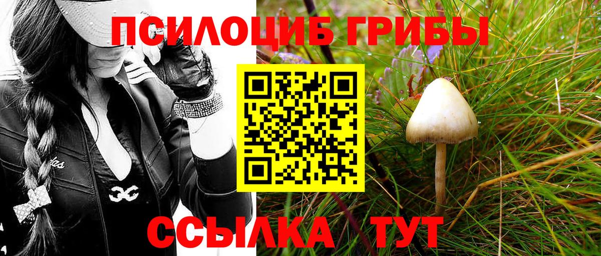 Альметьевск  Псилоцибиновые грибы Magic Shrooms  Псилоцибиновые грибы мицелий  Вход с VPN 